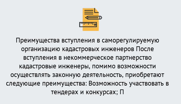 Почему нужно обратиться к нам? Вичуга Что дает допуск СРО кадастровых инженеров?