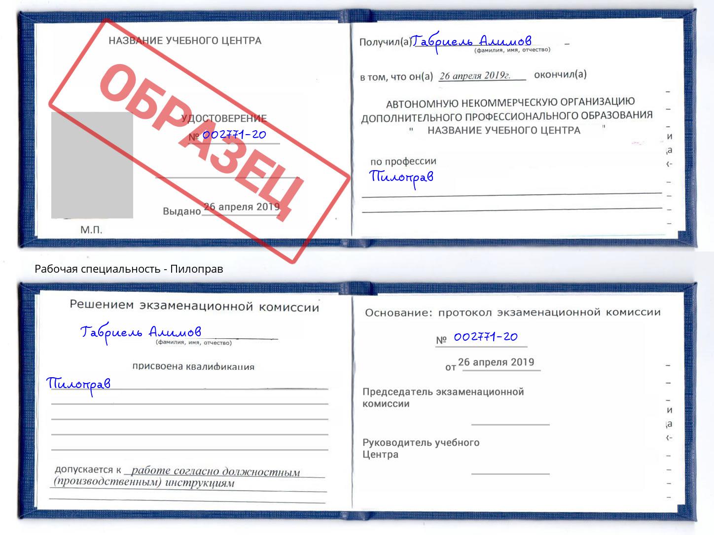 Пилоправ Вичуга