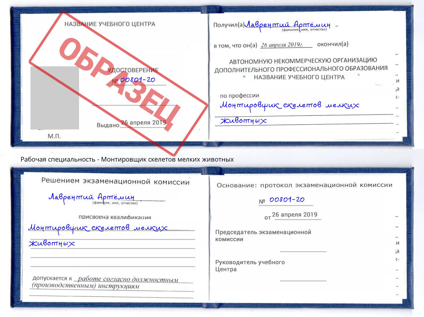 Монтировщик скелетов мелких животных Вичуга
