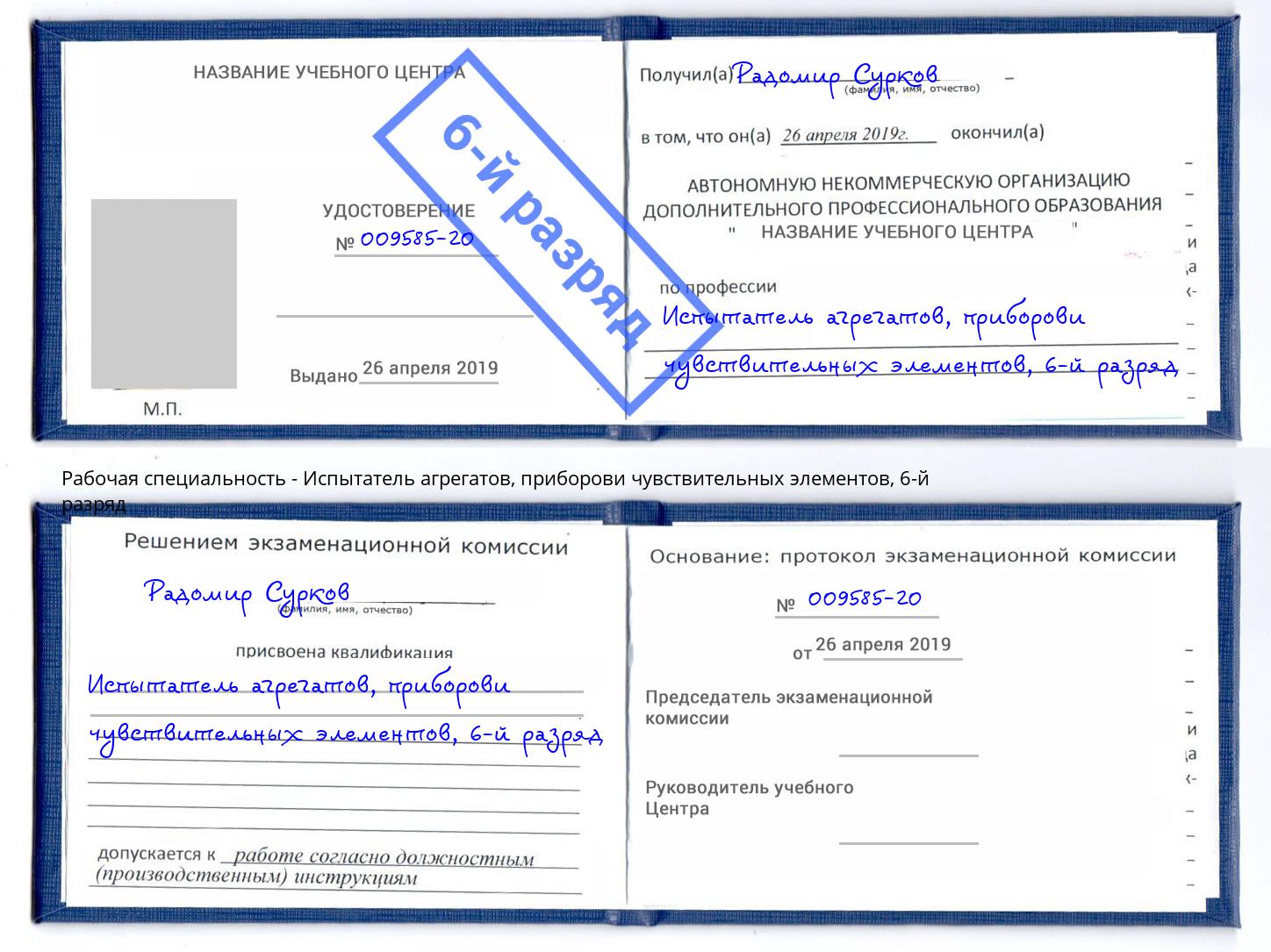 корочка 6-й разряд Испытатель агрегатов, приборови чувствительных элементов Вичуга