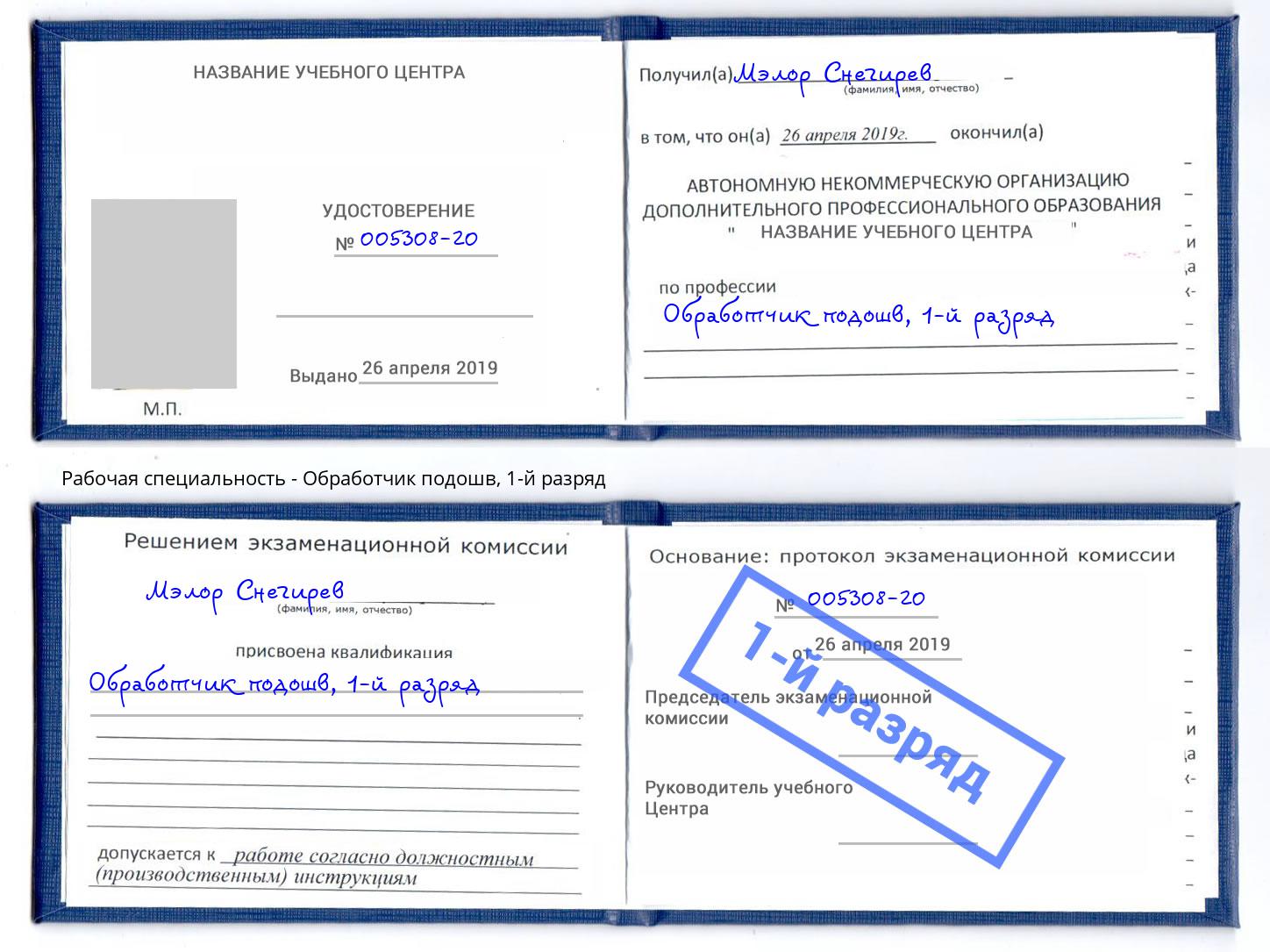корочка 1-й разряд Обработчик подошв Вичуга