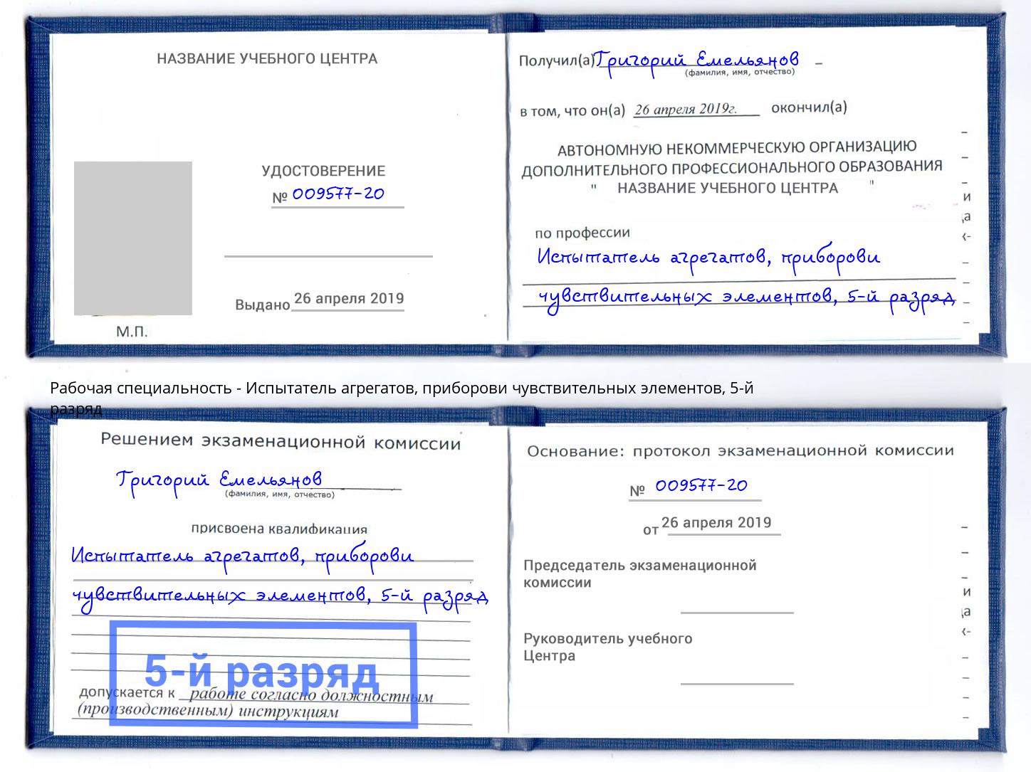 корочка 5-й разряд Испытатель агрегатов, приборови чувствительных элементов Вичуга