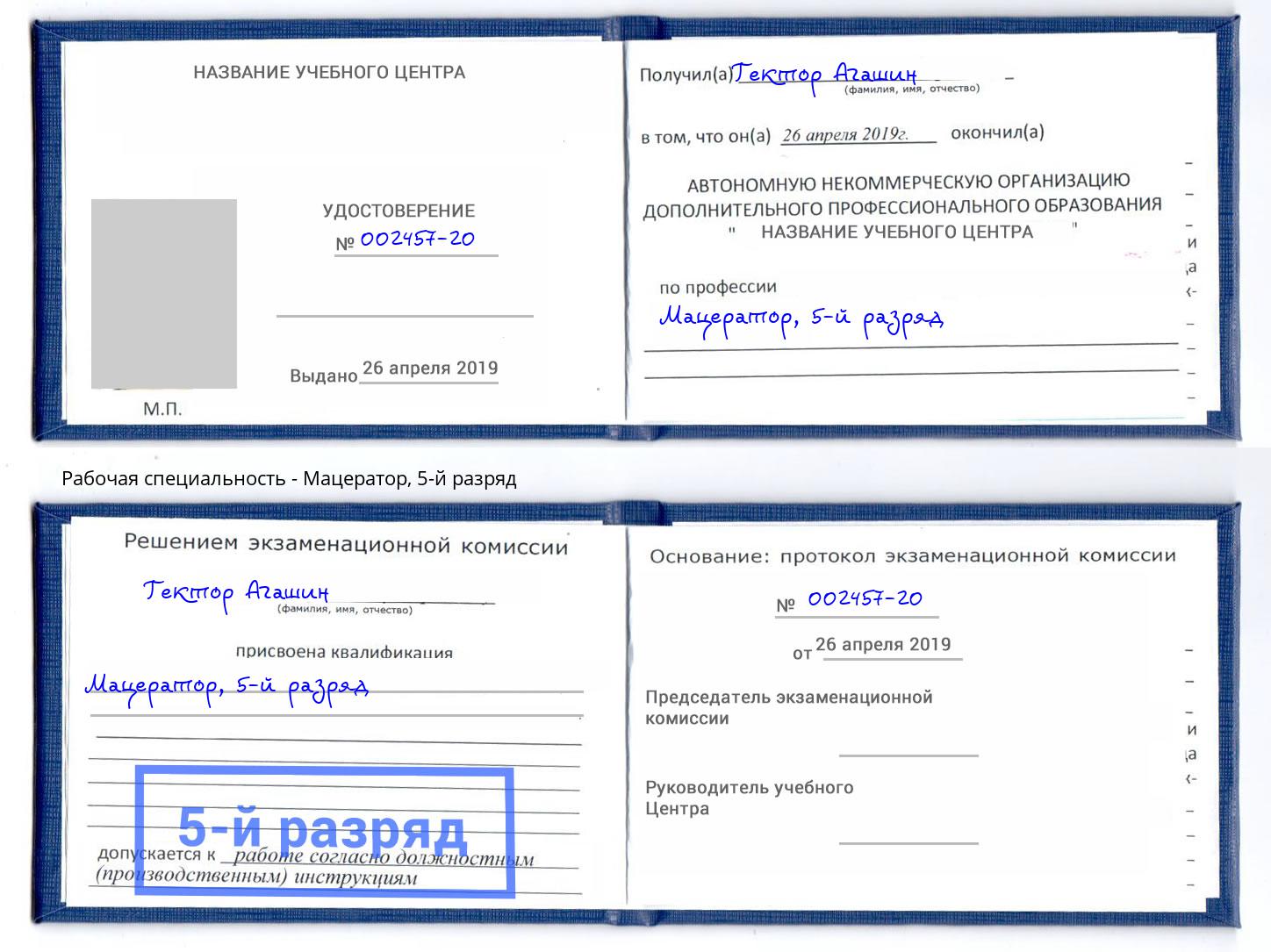 корочка 5-й разряд Мацератор Вичуга