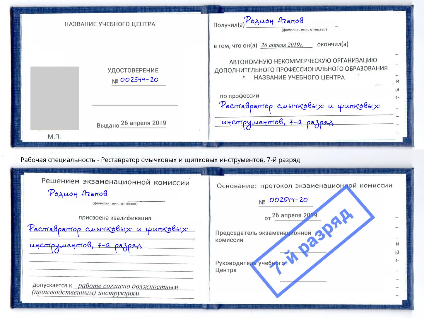 корочка 7-й разряд Реставратор смычковых и щипковых инструментов Вичуга