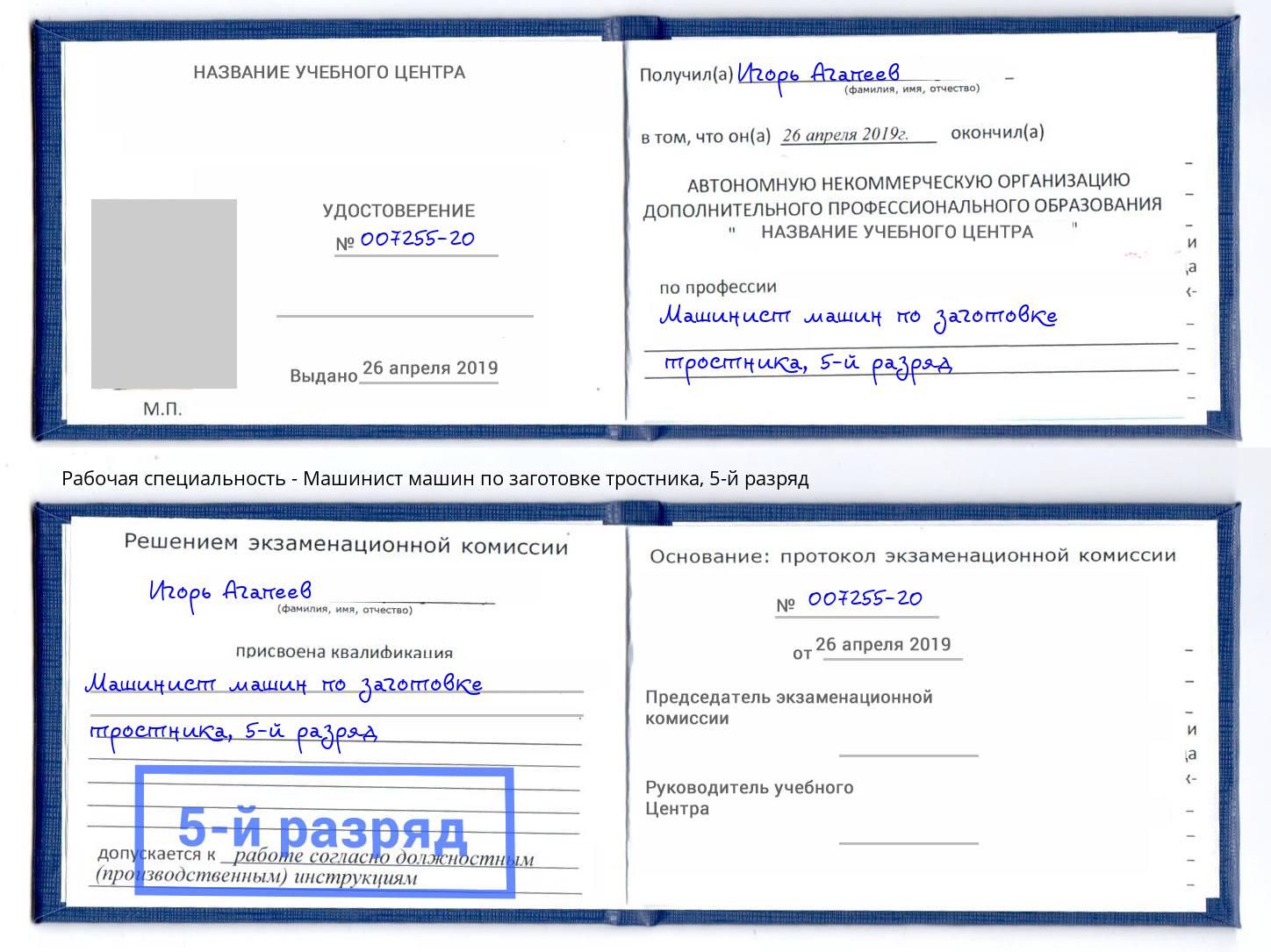 корочка 5-й разряд Машинист машин по заготовке тростника Вичуга