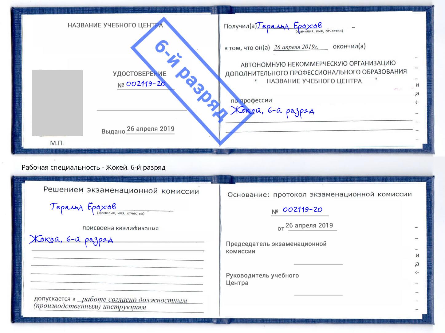 корочка 6-й разряд Жокей Вичуга