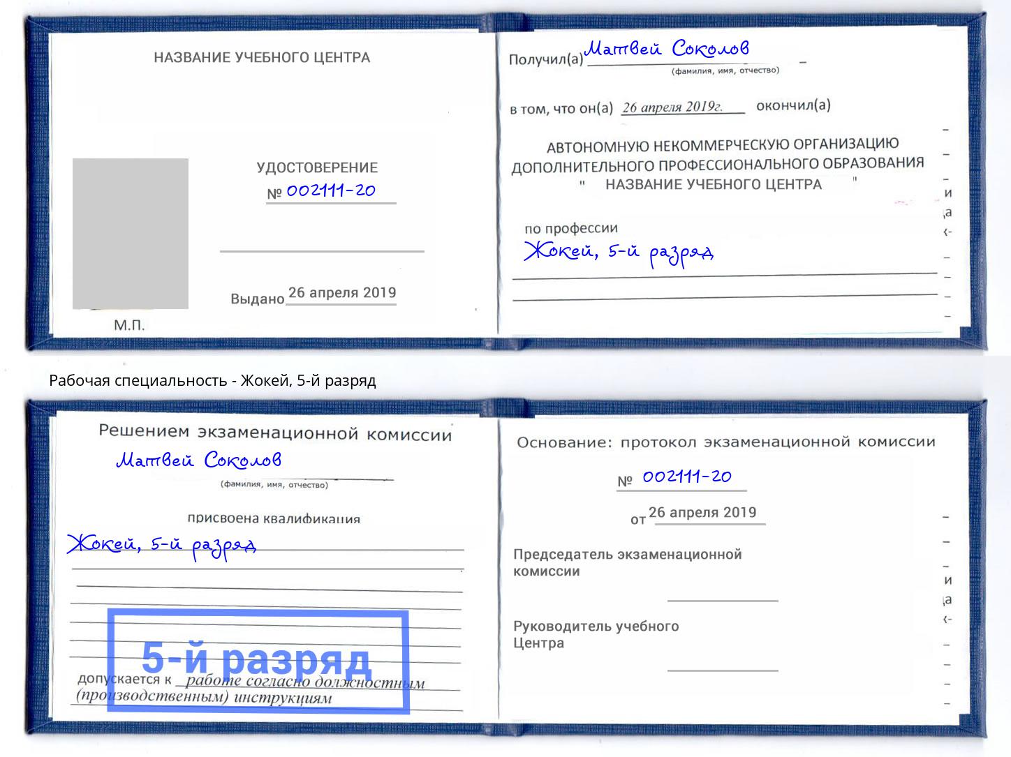корочка 5-й разряд Жокей Вичуга