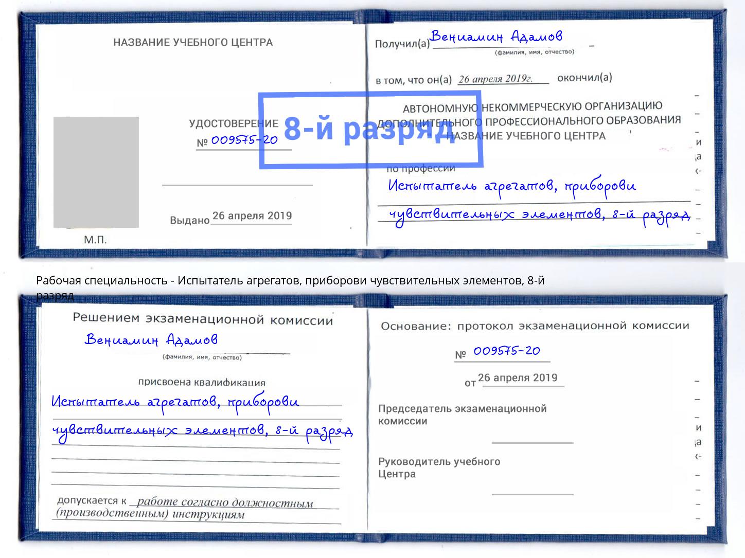 корочка 8-й разряд Испытатель агрегатов, приборови чувствительных элементов Вичуга